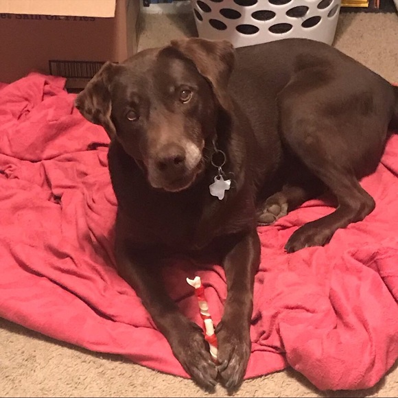 Meet your Posher, Autumn - Picture 5 of 6